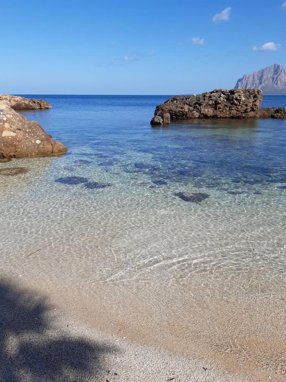 Il Colore Del Mare Tonnara di Bonagia Zewnętrze zdjęcie